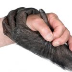 Menneskets psykologiske programvare