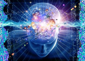 Mindfulness & bevissthetstilstander