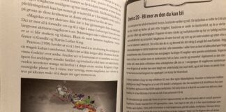 Selvbildet – Kapittel 11 del 3 av 3 – Tilfeldige innslag av godhet