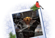 Luke 23 – Psyko-Babbel