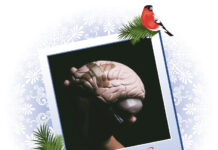 Luke 12 – Hjernen har flere avdelinger for angst