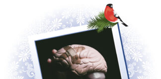 Luke 12 – Hjernen har flere avdelinger for angst