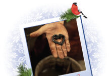 Luke 4 – Panserhjerte