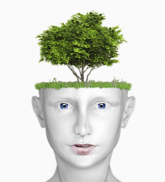 head with tree