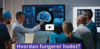 Miniserie i 4 deler om vårt mentale maskineri