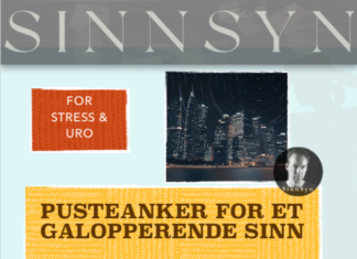 Meditasjon 1 – Pusteanker for et galopperende sinn (PDF)
