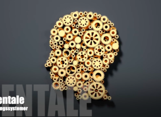 Mentale Styringssystemer