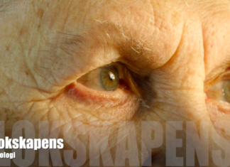 Klokskapens Psykologi