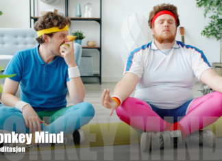Monkey Mind