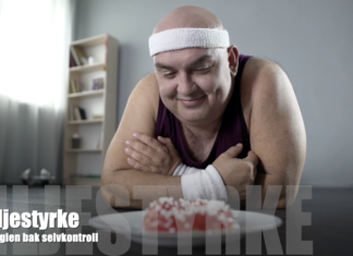 Viljestyrke