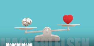 Lytt til magefølelsen