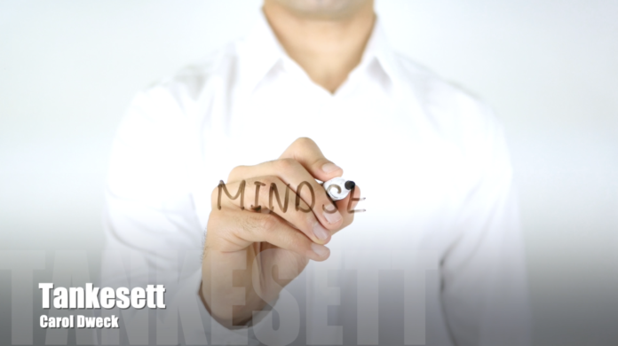 Skjermbilde 2024-09-13 kl. 20.57.13