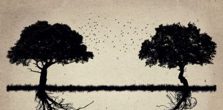 #26 – Parforholdets psykologi