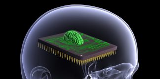 *1 – Psykens operativsystem