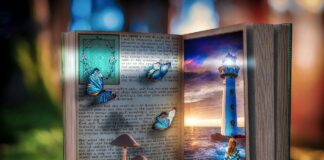 #137 – I sonen for nærmeste utvikling