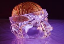 Vann er vått & hjernen er bevisst