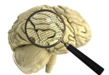 Er vi bare biologi – Ingen sjel?