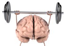 Tankegangens anatomi