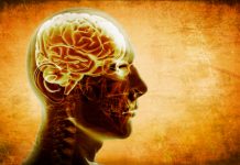 Psyken-Vitenskapens grunnproblem